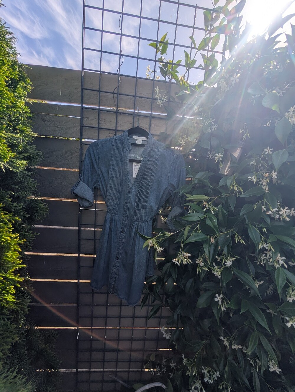 Woman's Dark Blue Button-Up Casual Shirt